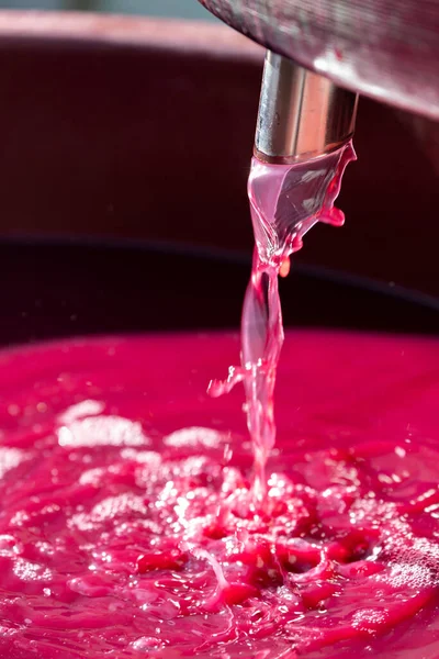 Изготовление Красного Вина Винограда — стоковое фото
