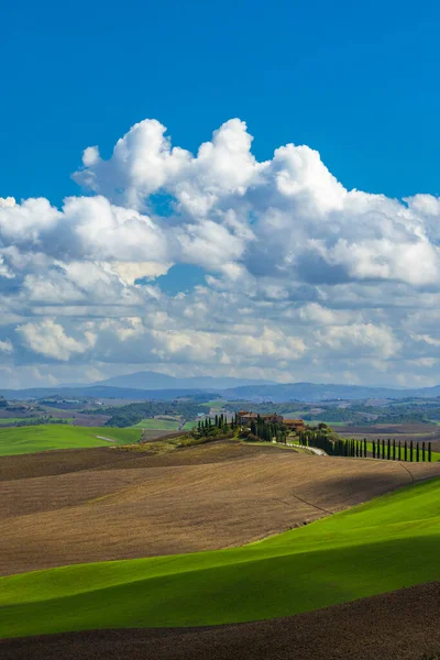 Типичный Тосканский Пейзаж Рядом Сиеной Тоскана Италия — стоковое фото