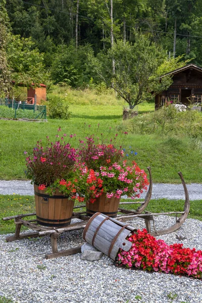 Decoración Floral Campo Alpes Suiza — Foto de Stock