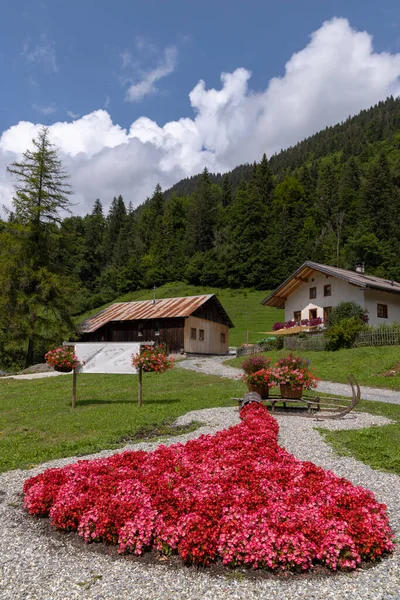 Bloemendecoratie Het Platteland Alpen Zwitserland — Stockfoto