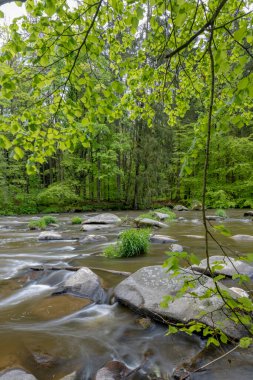 Çek Cumhuriyeti, Smrcna yakınlarındaki Sazava nehri