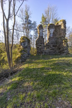 Chlum kalıntıları 13. yüzyıldan, Zbysov yakınlarında, Orta Bohemya, Çek Cumhuriyeti