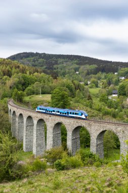 Kuzey Bohemya, Çek Cumhuriyeti Krystofovo Udoli 'deki Novina Viyadük' ü