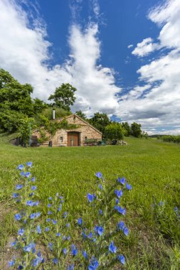 Palava bölgesinde şarap mahzenleri ve üzüm bağları, Güney Moravya, Çek Cumhuriyeti