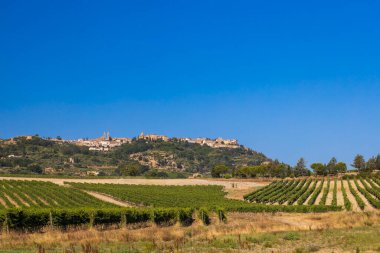 İtalya 'nın Montalcino kasabası yakınlarındaki Toskana' nın en ünlü üzüm bağları.