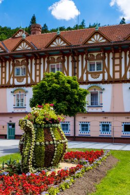 Güney Moravya, Çek Cumhuriyeti 'nde Luhacovice, pitoresk spa kasabası