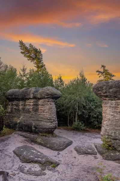 Stensvamp Ett Naturreservat Broumovske Steny Östra Böhmen Tjeckien — Stockfoto