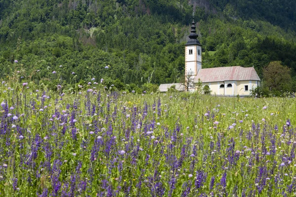 Kerk Jereka Bij Het Bohinj Meer Slovenië — Stockfoto