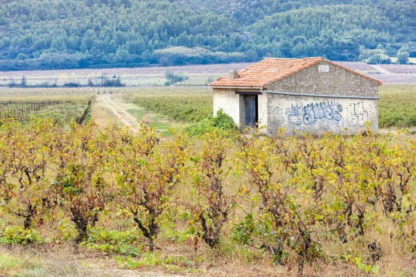 Осенние Виноградники Прованса Франция — стоковое фото