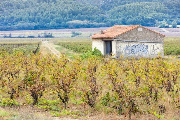 Viñedos Otoño Provenza Francia —  Fotos de Stock