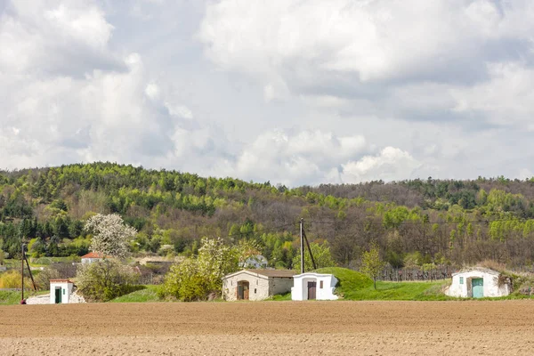 Cave Vin Près Retz Autriche — Photo