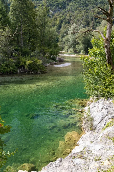Sava Bohinjka Triglav Nationalpark Slovenien — Stockfoto