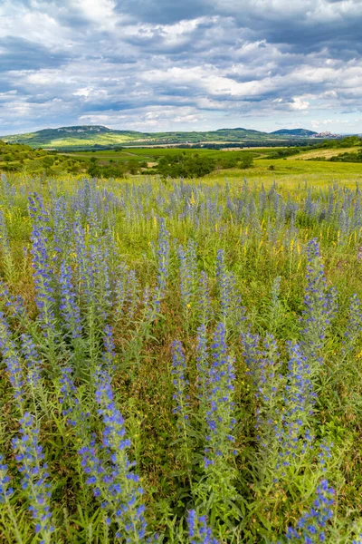 Spring Landscape Palava Dolni Dunajovice Southern Moravia Czech Republic — Stock Photo, Image