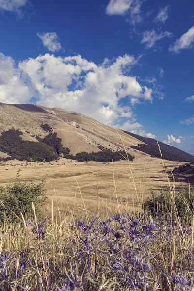 Parco Nazionale Abruzzo Vicino Barrea Lazio Molis — Foto Stock