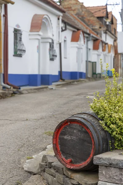 Bodegas Terezin Moravia Del Sur República Checa —  Fotos de Stock