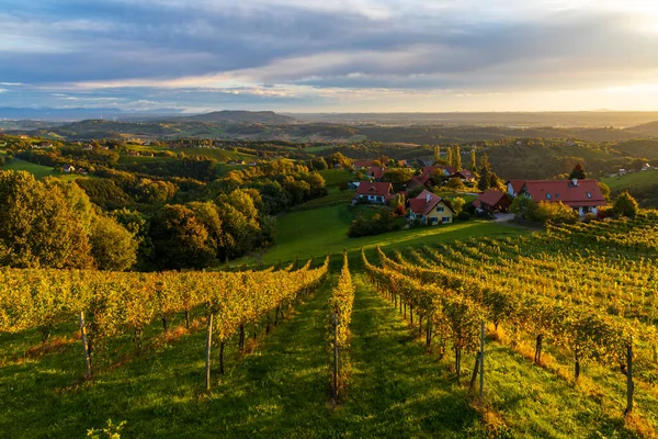Hoogste Wijngaarden Van Oostenrijk Bij Het Dorp Kitzeck Sausal Stiermarken — Stockfoto
