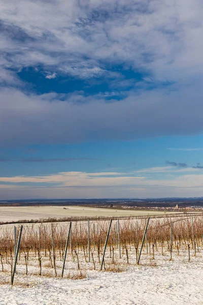 Paisagem Inverno Perto Popice Morávia Sul República Checa — Fotografia de Stock