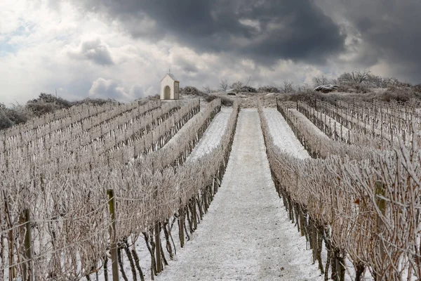 Calvaire Proche Hnanice Région Znojmo Moravie Sud République Tchèque — Photo