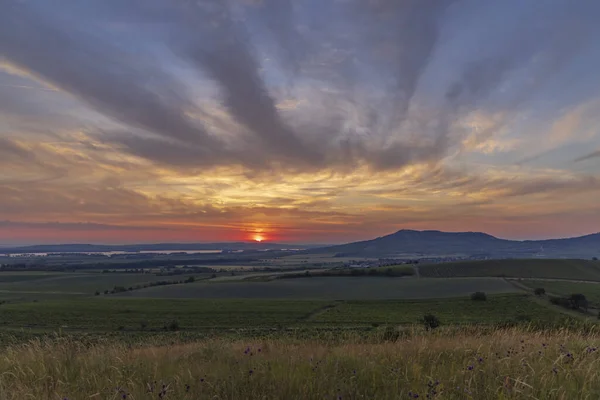 Salida Del Sol Los Viñedos Palava Sur Moravia República Checa — Foto de Stock