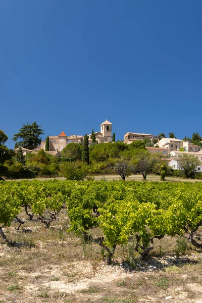 Typical Vineyard Vinsobres Cotes Rhone France — Stock Photo, Image