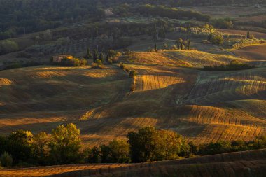 Tipik Toskana sonbahar sabahı manzarası, Val D 'Orcia, Toskana, İtalya