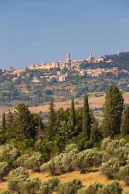 Tuscany, İtalya 'da Zeytin Bahçesi ve Volterra