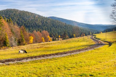 Slovakya 'daki Beskyd eyeri yakınlarındaki orman demiryolu ile sonbahar manzarası