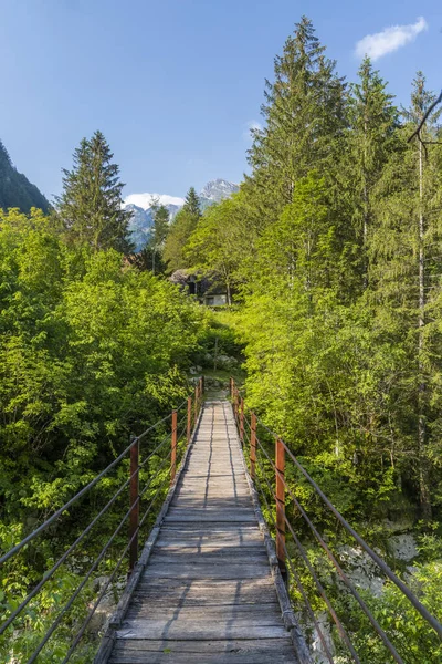 Ponte Corda Rio Soca Parque Nacional Triglavski Eslovénia — Fotografia de Stock