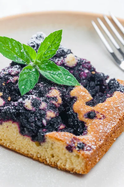 Piece Blueberry Cake Mint — Stock Photo, Image