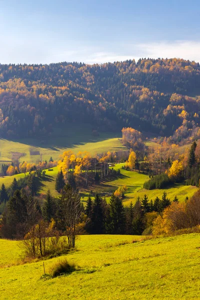 Осенний Пейзаж Горах Мала Фатра Словакия — стоковое фото