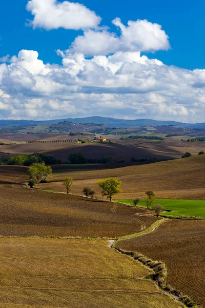 イタリア トスカーナ州シエナ近くの典型的なトスカーナの風景 — ストック写真