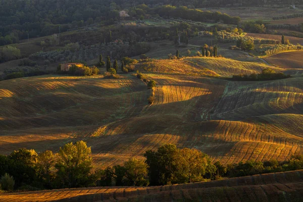 Typische Toskanische Morgenherbstlandschaft Val Orcia Toskana Italien — Stockfoto