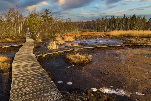 Riserva Naturale Soos Boemia Occidentale Repubblica Ceca — Foto Stock