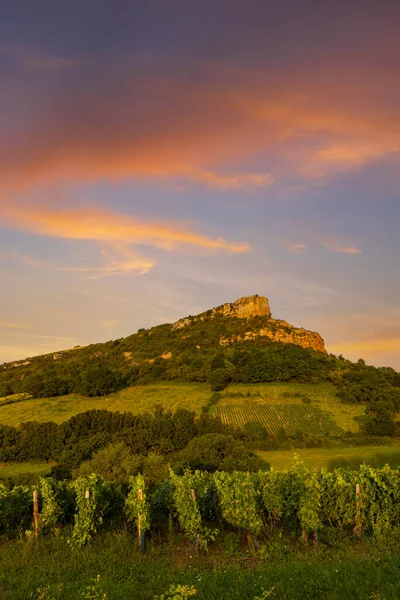 Felsen Von Solutre Mit Weinbergen Burgund Solutre Pouilly Frankreich — Stockfoto