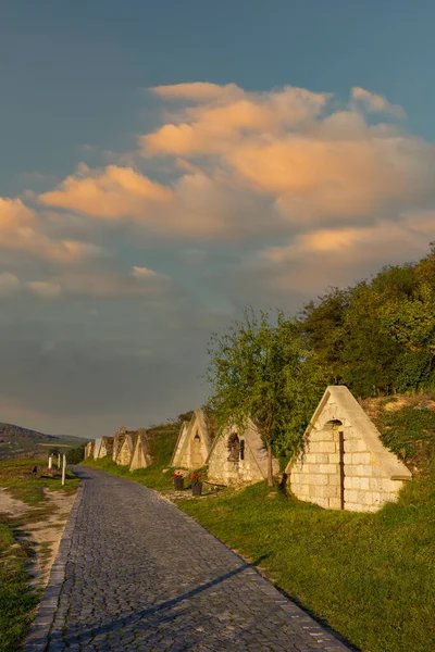 Podzimní Kleště Gombos Hegyi Hercegkutu Unesco Great Plain Severní Maďarsko — Stock fotografie