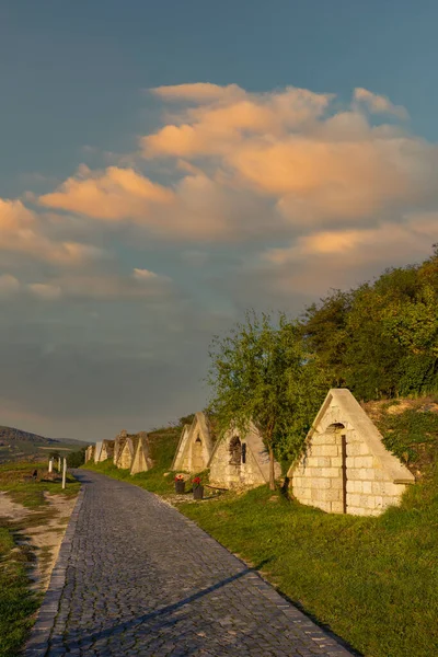 Pincesor Gombos Hegyi Outonal Hercegkut Local Unesco Grande Planície Norte — Fotografia de Stock