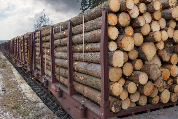 Transport Drewna Wagonami Kolejowymi — Zdjęcie stockowe