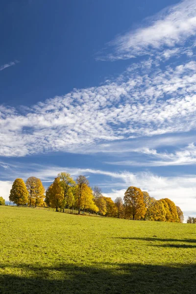 Осенний Пейзаж Региона Дахштайн Австрия — стоковое фото