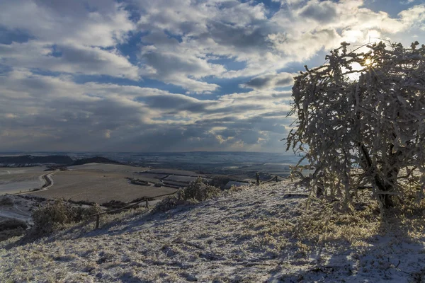 捷克共和国摩拉维亚南部巴拉维亚地区Mikulov附近的冬季景观 — 图库照片