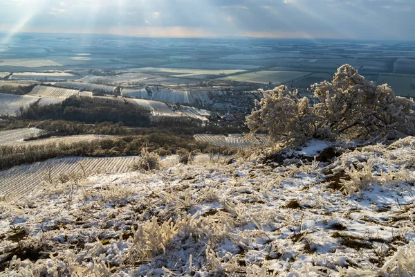 Zimowy Krajobraz Pobliżu Mikulov Region Palava Morawy Południowe Czechy — Zdjęcie stockowe
