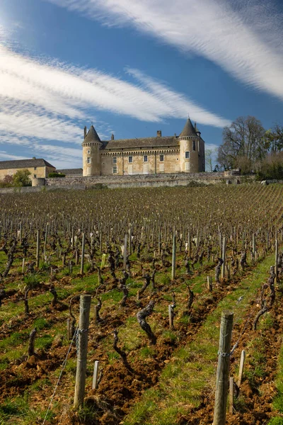 Castillo Rully Departamento Saone Loire Borgoña Francia — Foto de Stock