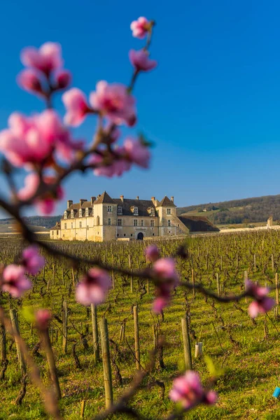 Castillo Clos Vougeot Costa Nuits Borgoña Francia — Foto de Stock