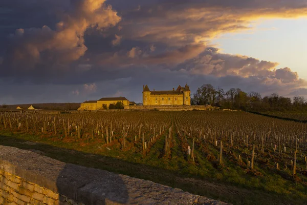 Chateau Rully Şatosu Saone Loire Kalkışı Burgundy Fransa — Stok fotoğraf