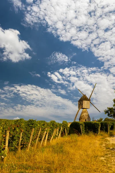 Windmill Tranchee Vineyard Montsoreau Pays Loire France — стоковое фото