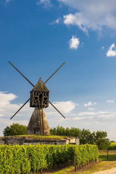 Väderkvarn Tranchee Och Vingård Nära Montsoreau Pays Loire Frankrike — Stockfoto