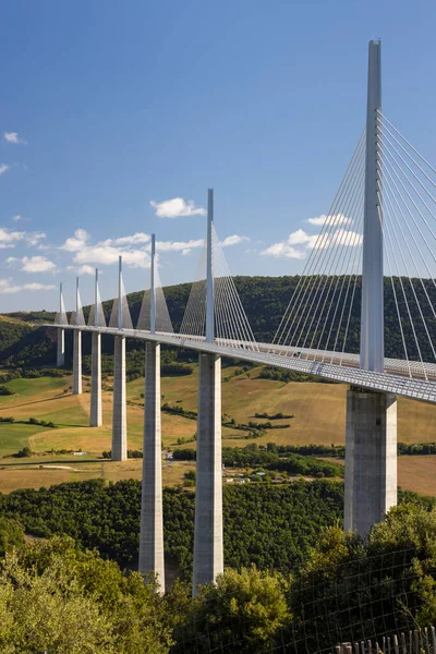 Multi Span Kabel Bleef Millau Viaduct Kloof Vallei Van Tarn — Stockfoto