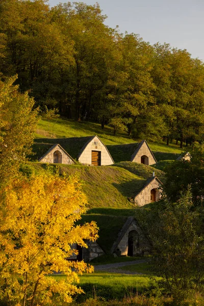 Autumnal Gombos Hegyi Pincesor Hercegkut Unesco Site Great Plain North — Stock Photo, Image