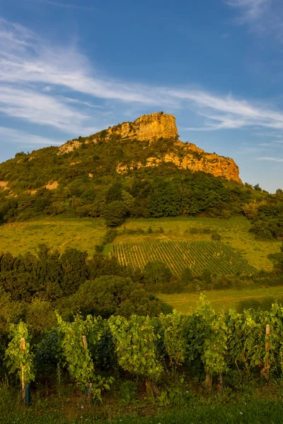 Rock Solutre Vinicemi Burgundy Solutre Pouilly Francie — Stock fotografie