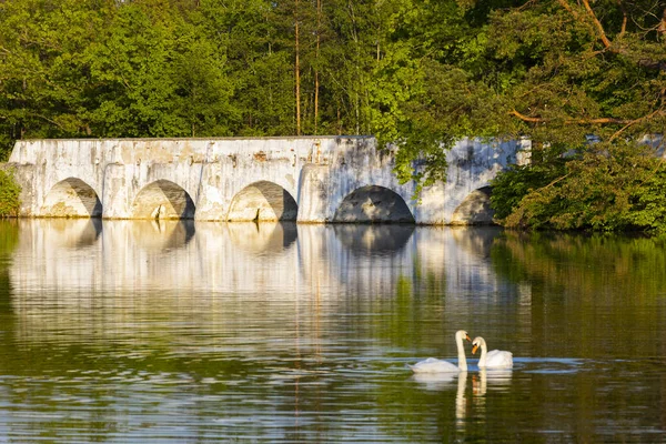 捷克共和国南波西米亚Jindrichuv Hradec区Trebon附近Nova Hlina Vitek池塘上方的旧石桥 — 图库照片