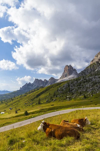 Paisagem Perto Passo Giau Dolomites Itália — Fotografia de Stock